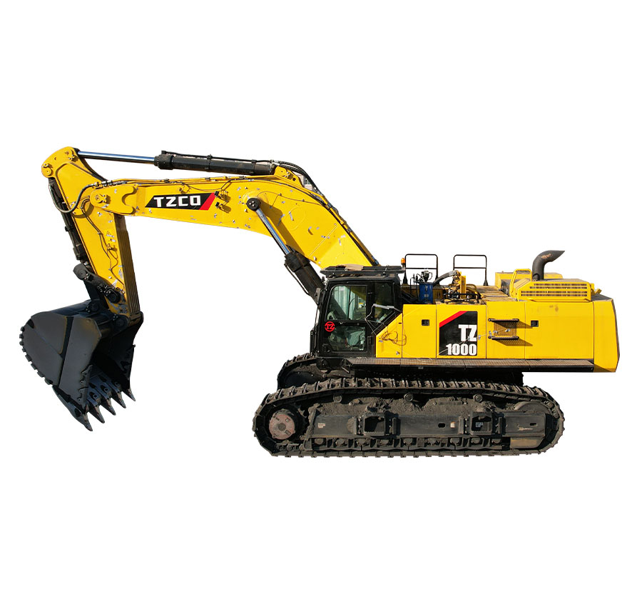 TZ1000